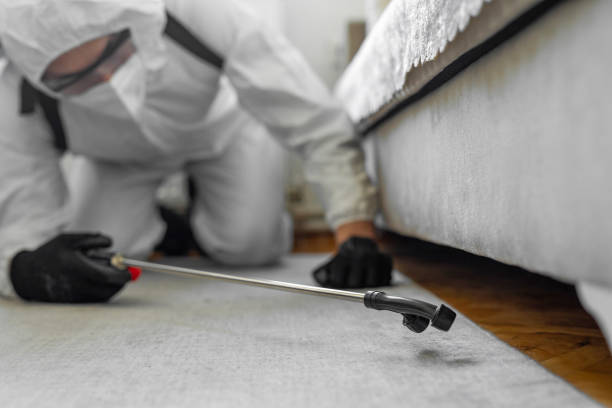Professional Bed Bug Control technician working in Bayboro, NC