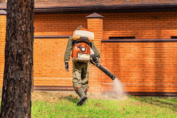 Trusted Bed Bug Control service in Bayboro, NC - Nex Pest Control